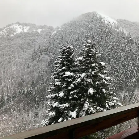 Neve & Relax Bilocale Panoramico Comodo Alle Piste Lägenhet *