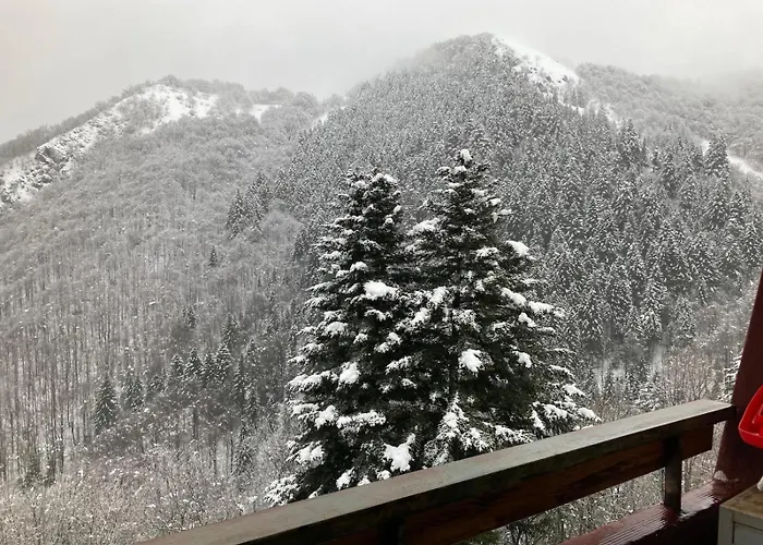 Neve & Relax Bilocale Panoramico Comodo Alle Piste Apartment *